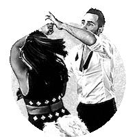La Sesta Sticker by LaSestaArte