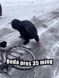 Beda GIF