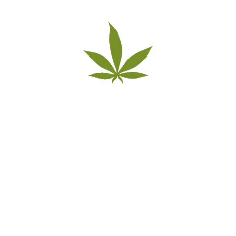 Iced Tea Relax Sticker by Pella Biocannabis Farm