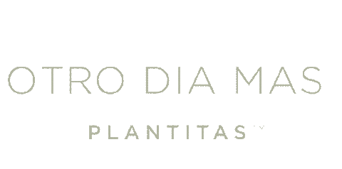 Chiquis Dryshampoo Sticker by VS CBD