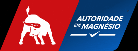 ksbrasileira giphygifmaker giphyattribution bull ks GIF