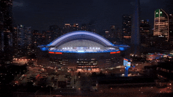 Blue Jays Baseball GIF by Toronto Blue Jays