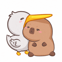 Happy What The Hell GIF