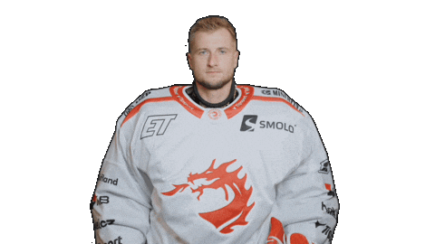 Trinec Sticker by HC Oceláři Třinec