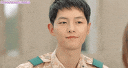 song ki GIF