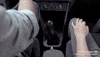 volkswagen jetta love GIF