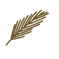 elimartinez-studio nature tropical palm palma Sticker