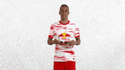 Looks Cool Oh Yeah GIF by RB Leipzig