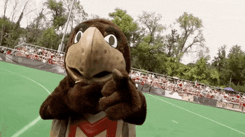 Celebrating Field Hockey GIF by Maryland Terrapins