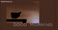 Good Morning GIF by wishafriend