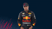 Red Bull Sport GIF by Oracle Red Bull Racing