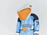PelicansFi hockey mascot ice hockey pelicans GIF