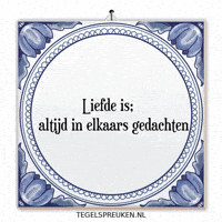 Humor Nl GIF by Tegelspreuken.nl