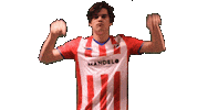 Yourdreamsarenow Theclassof2019 Sticker by De Kaascoman