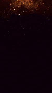 Tiger And Dragon Kino GIF by Studiocanal Germany