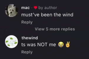 Not Me Dog GIF