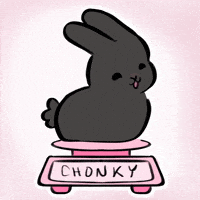 Bunny Scale GIF