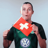 World Cup Reaction GIF by VfL Wolfsburg