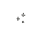 Star Glitter Sticker
