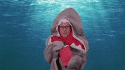 Excited Discovery GIF by Shark Week