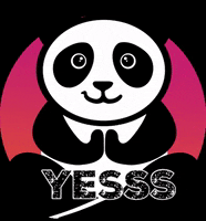 Pandamedia marketing agency panda media GIF