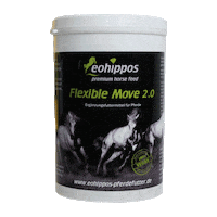 Pony Sticker by Eohippos Pferdefutter