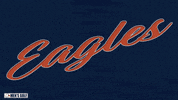 Zachyoung GIF by Carson-Newman Athletics