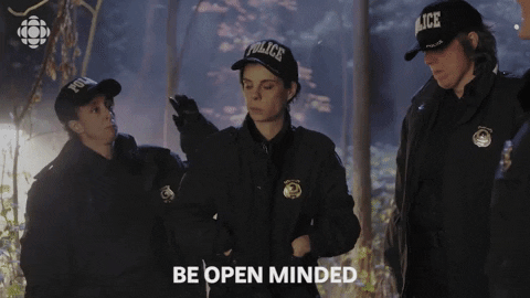 baroness von sketch police GIF