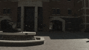 Art College GIF by TiTi Talks