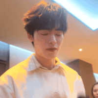 Pip GIF