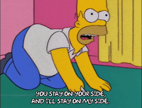 homer simpson episode 24 GIF