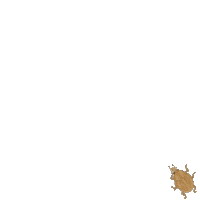 UFIFASCAIP biological control caip ufifascaip water hyacinth Sticker