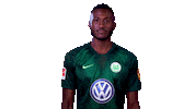 france football Sticker by VfL Wolfsburg