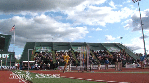 north dakota state bison GIF by NDSU Athletics