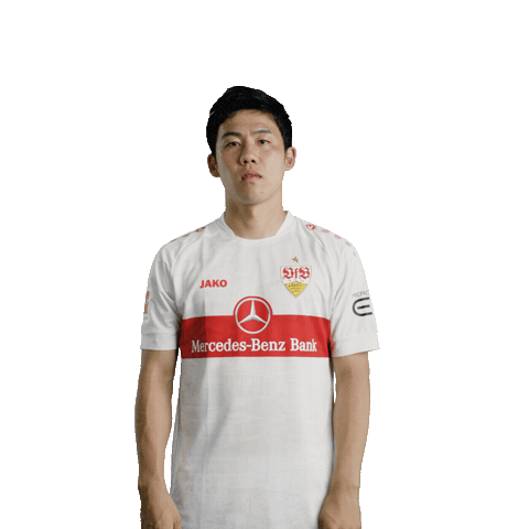 Football Facepalm Sticker by VfB Stuttgart