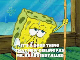season 6 GIF by SpongeBob SquarePants