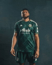 Major League Soccer Sport GIF by Timbers