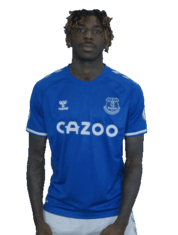 Celebrate Premier League GIF by Everton Football Club