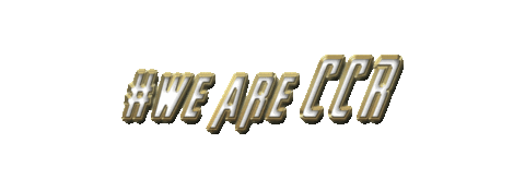 CrossCenteredRecords giphyupload genesis ccr cross centered records Sticker