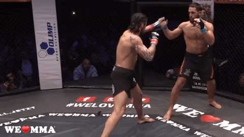 fight champion GIF by We love MMA