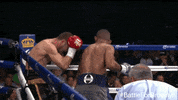 daniel jacobs punch GIF by SHOWTIME Sports