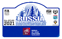 Igora Drive Sticker by Baja RUSSIA – Northern Forest