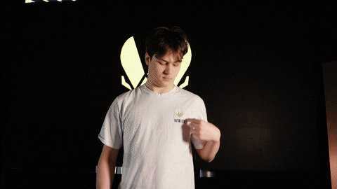 League Of Legends Lol GIF by Team Vitality
