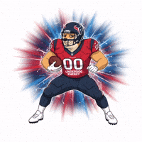 Shiba Inu Nfl GIF by Doge Pound