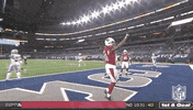 Regular Season Football GIF by NFL
