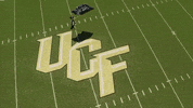 ucf knights football GIF by UCF