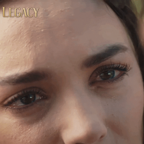 Legacy Emanet GIF by Eccho Rights