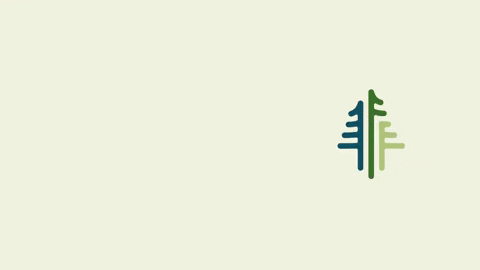 nationalforests giphyupload GIF