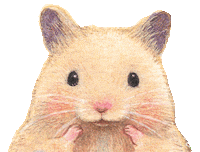 Golden Hamster Smile Sticker