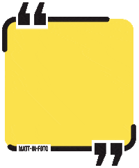 ranking top 10 Sticker by Mattin